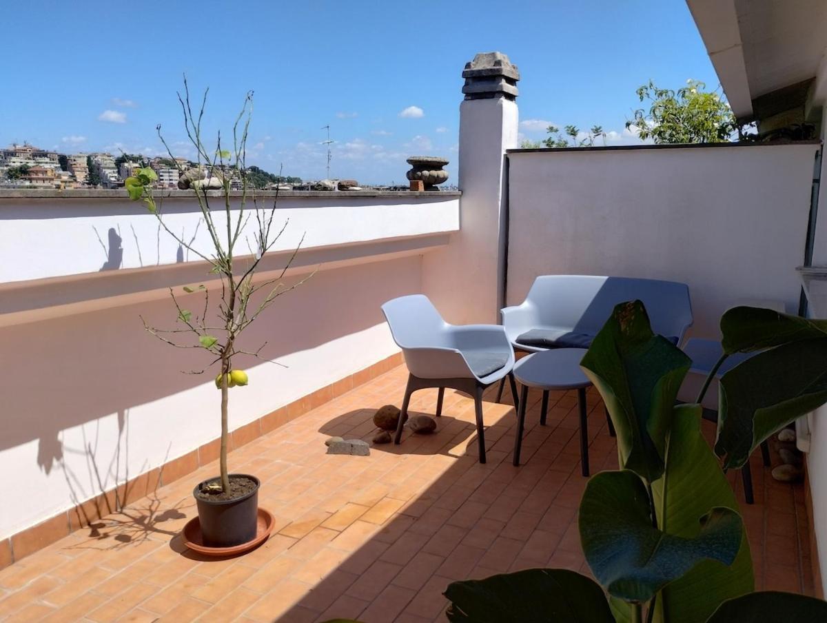 Il Mulo Volante - Panoramico Attico Con Terrazzo A Trastevere Roma